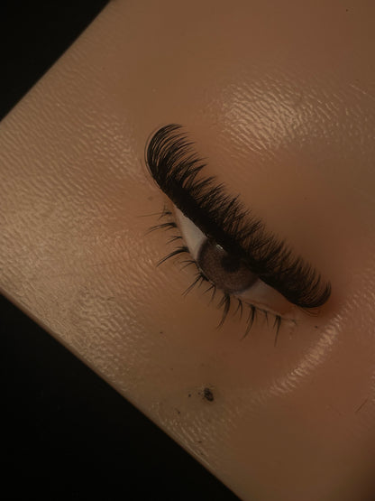 Wispy Galore Strip Lash